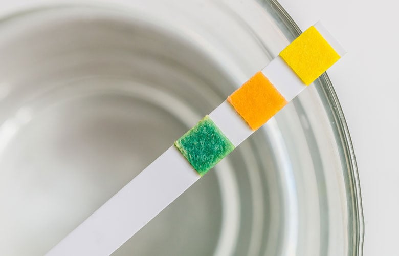 The Ultimate Guide to Sanitizers and Disinfectants